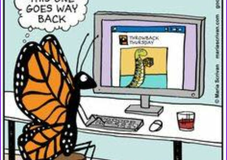 🧶👶 How to Crochet a Baby Blanket with Striped Colors