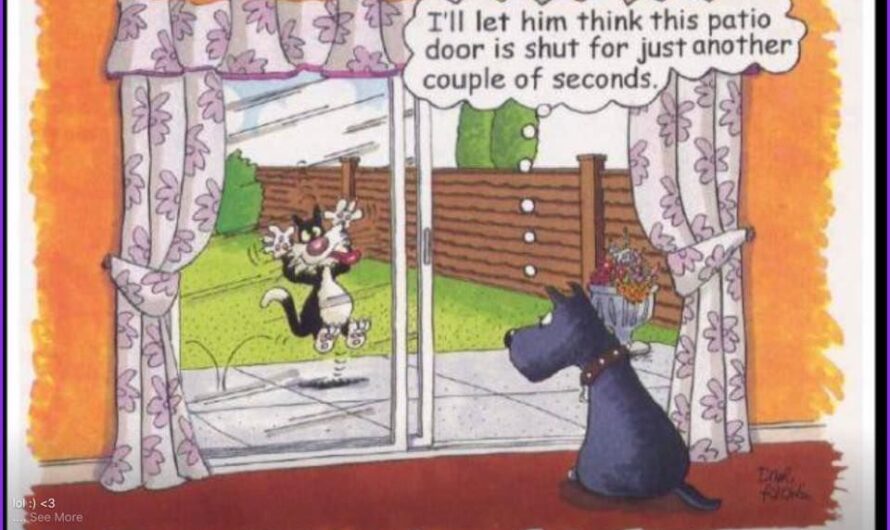 🌹🧶 How to Crochet a Rose Flower with White and Yellow Yarn