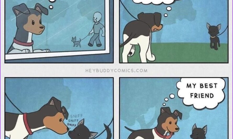 🌸🧶 How to Crochet a 3D Flower with Three Colors | Stet by Step Tutorial