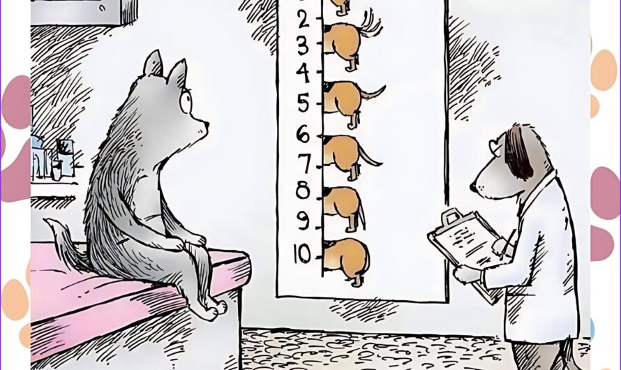 🌻 How to Crochet a Sunflower – Step-by-Step Tutorial