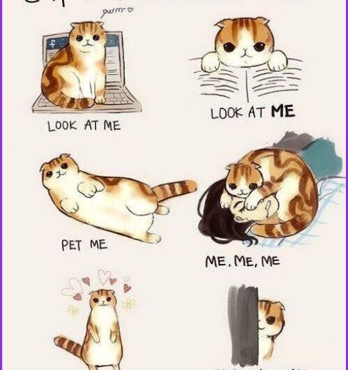 👜🧵🧶 DIY Crochet Tote Bag Tutorial | Beginner Friendly!