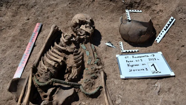 3,000-year-old untouched burial of ‘charioteer’ discovered in Siberia