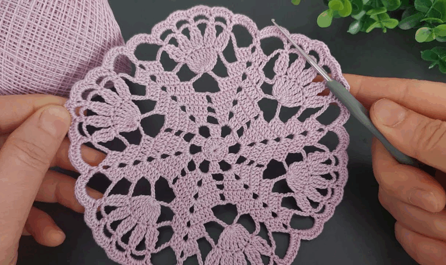 🌸 Crocheted Doily: Circular Lace Pattern with Petal Motifs🧶✨🌺🌸
